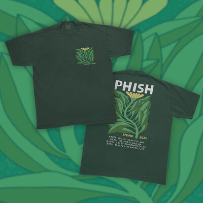 Spring Tour 2025 Shirt