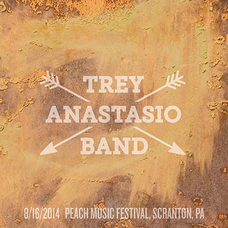 08/16/14 Peach Music Festival, Scranton, PA 