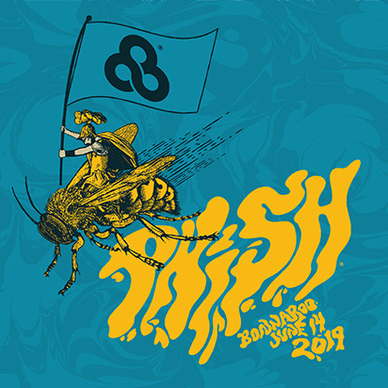 06/14/19 Bonnaroo Arts & Music Festival, Manchester, TN 