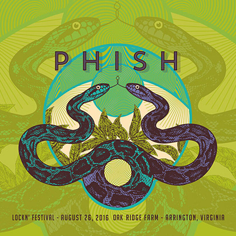 08/26/16 Lockn' Festival, Arrington, VA 