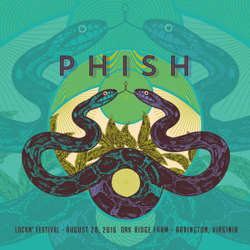 08/28/16 Lockn' Festival, Arrington, VA 