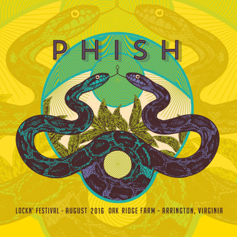Lockn' Festival 2016