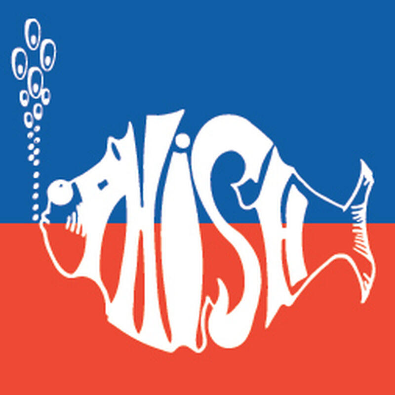 11/19/92 Ross Arena, Saint Michael's College, Colchester, VT 