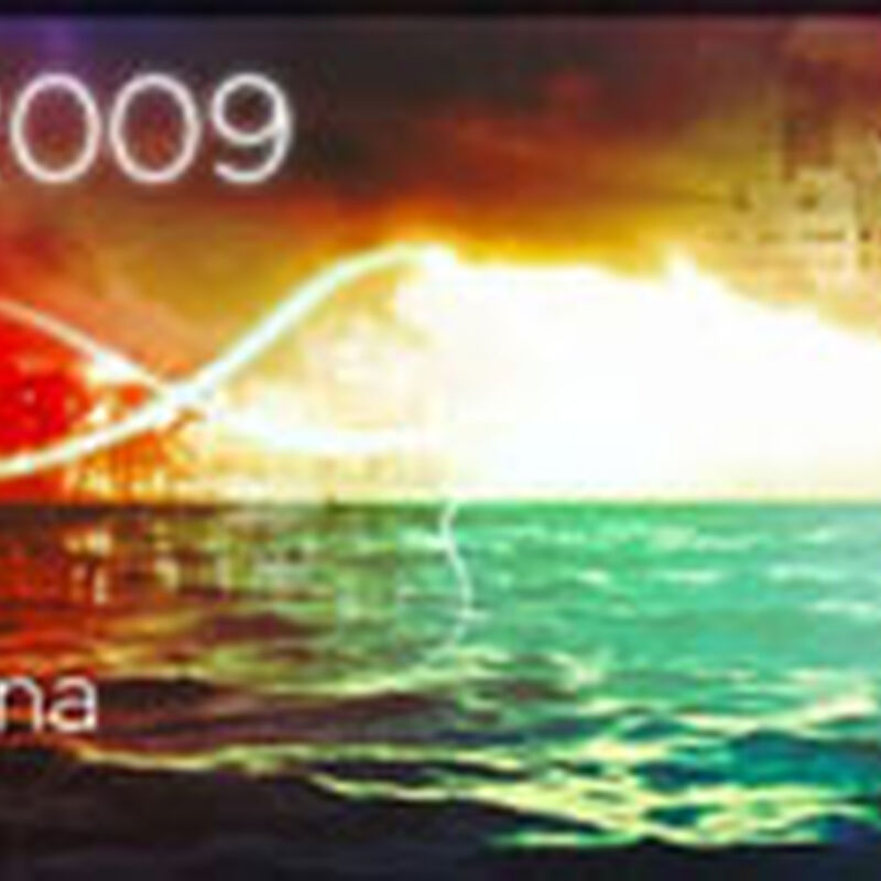 New Year's Run 2009 