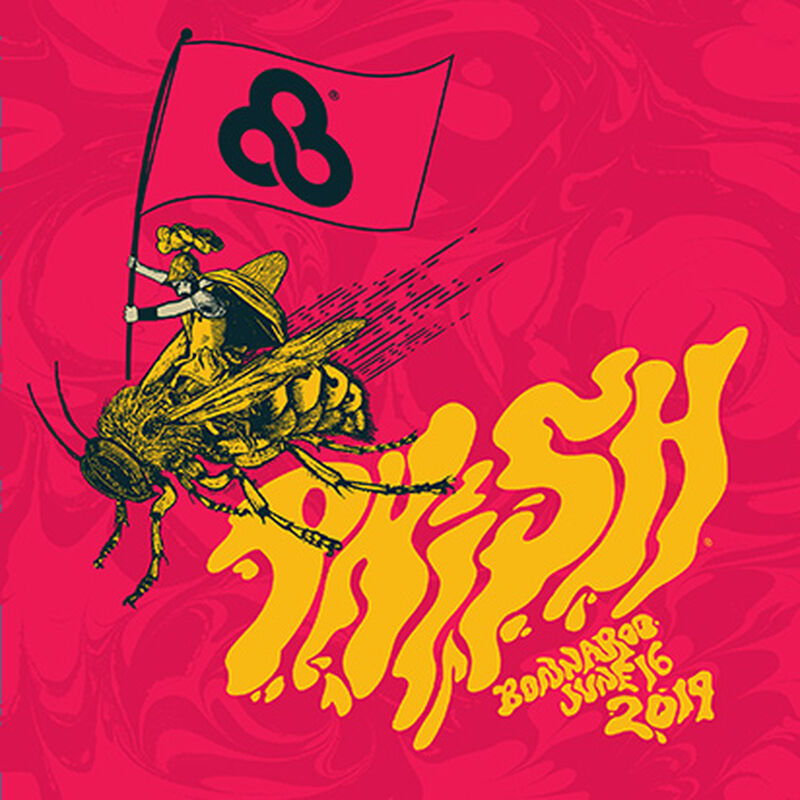 06/16/19 Bonnaroo Arts & Music Festival, Manchester, TN 