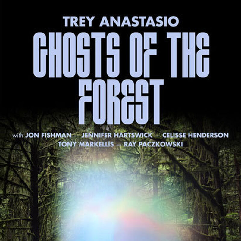 Ghosts of the Forest NY 2019